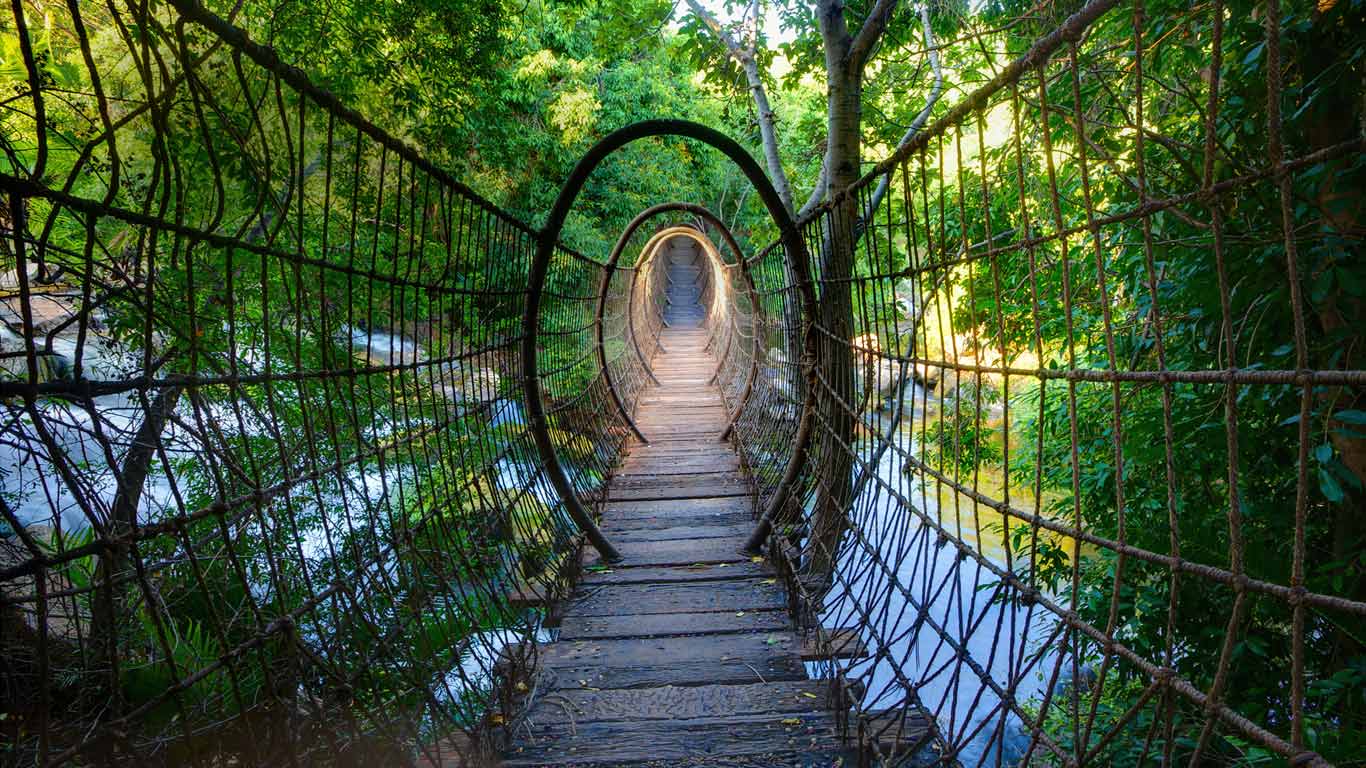Sway bridge at The Palace of the Lost City, North West Province, South Africa (© Heinrich van den Berg/Alamy)(Bing United Kingdom)