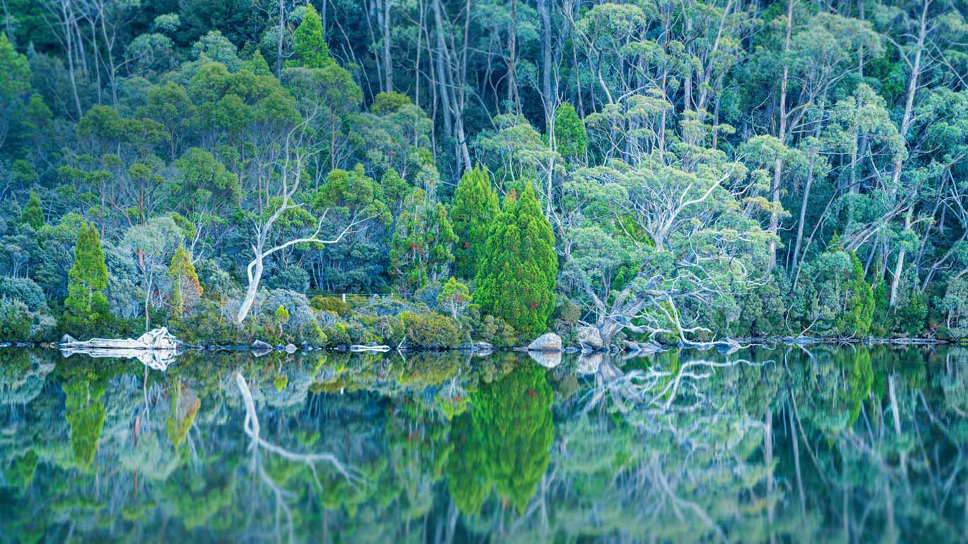 Lake Dobson in Mount Field National Park of Tasmania (© Tom Mackie/plainpicture)(Bing Canada)
