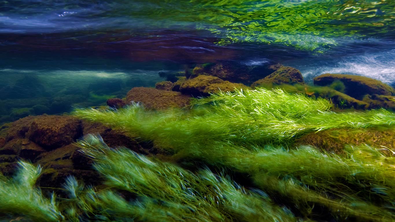 Afon Ogwen, a river in Snowdonia National Park, Wales (© Graham Eaton/Minden Pictures)(Bing United Kingdom)