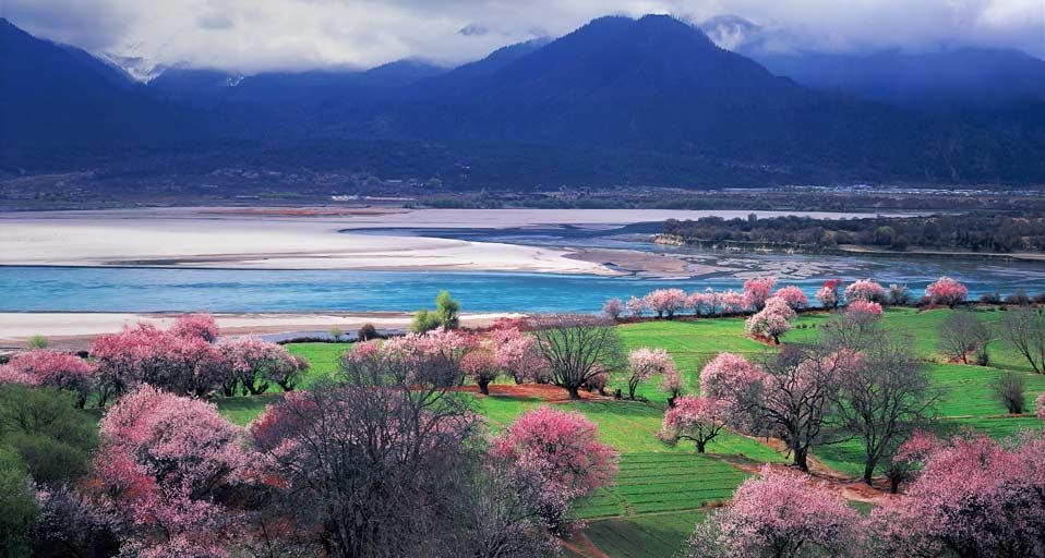 西藏林芝风景如画的花谷 (© TAO Images Limited/Getty Images) &copy; (Bing China)