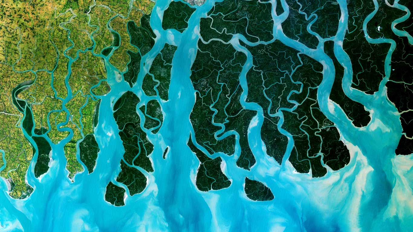印度和孟加拉国，恒河三角洲的卫星图片 (© Planet Observer/Universal Images Group/SuperStock)(Bing China)