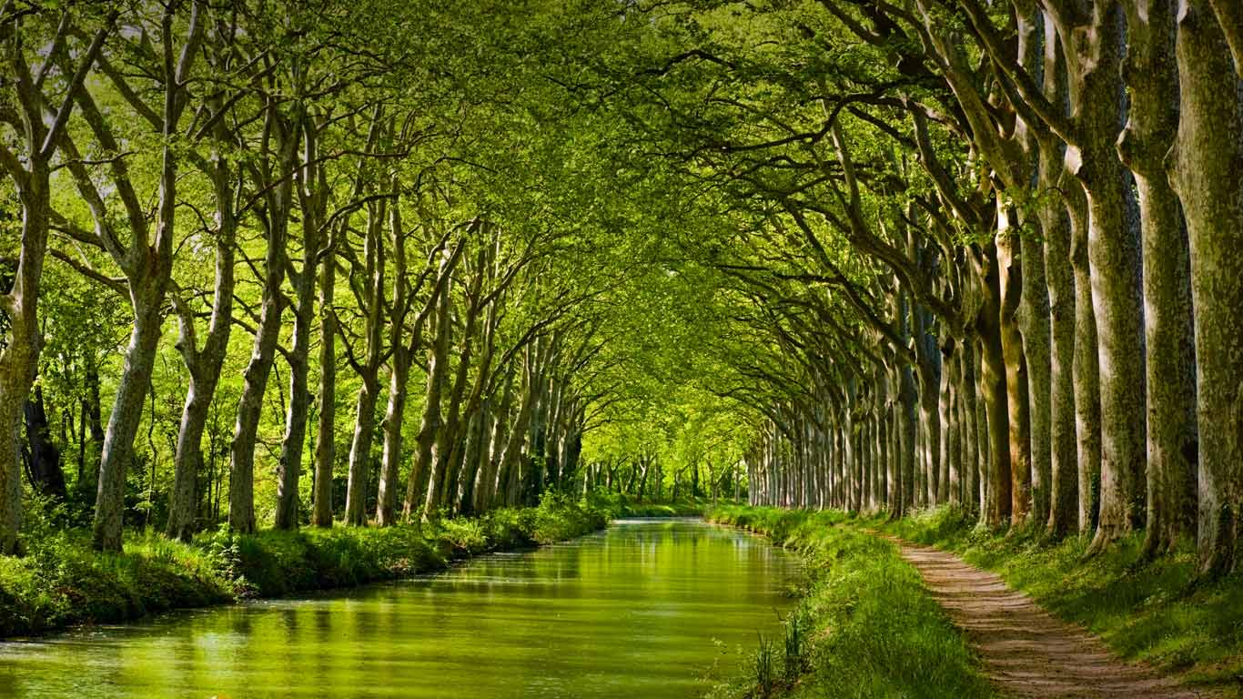 Late spring on the Canal du Midi in Toulouse, Haute-Garonne, Midi-Pyrénées, France (© Yuryev Pavel/Shutterstock)(Bing United Kingdom)