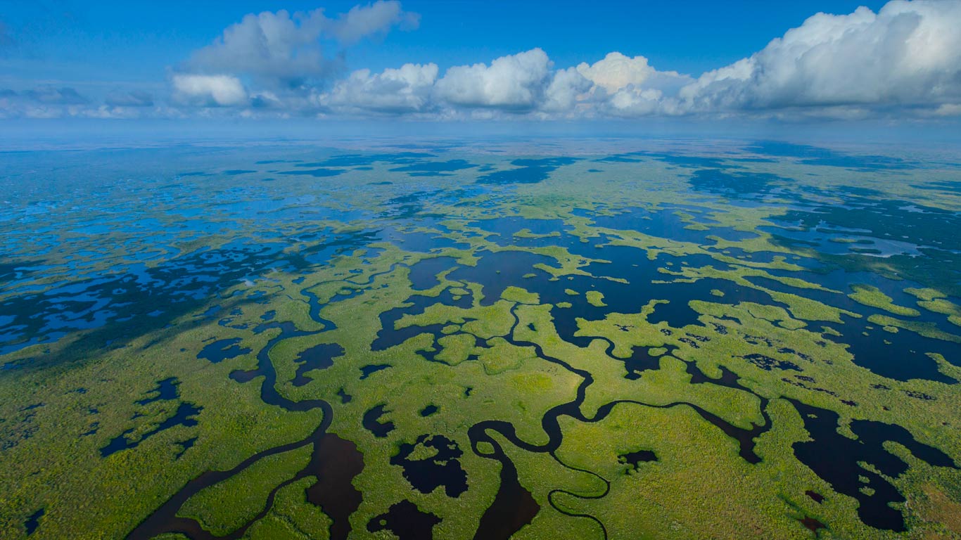 Aerial view of Everglades National Park in Florida (© Juan Carlos Muñoz/age fotostock/Alamy)(Bing United States)