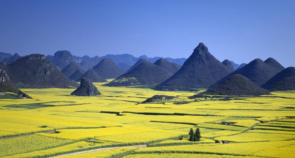 Field mustard field and Kinkei peak, Luoping, Yunnan province, China -- JTB Photo/Photolibrary &copy; (Bing United Kingdom)