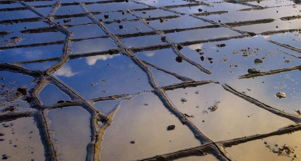 Tessellated Pavement at Eaglehawk Neck , Australia, Tasmania, Tasman Peninsula (© S Sailer/A Sailer / age fotostock) &copy; (Bing Australia)