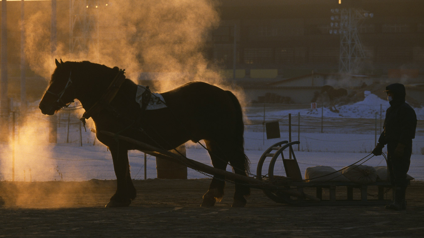 ｢ばんえい馬｣北海道 (© Patrick Robert/Sygma/Corbis)(Bing Japan)