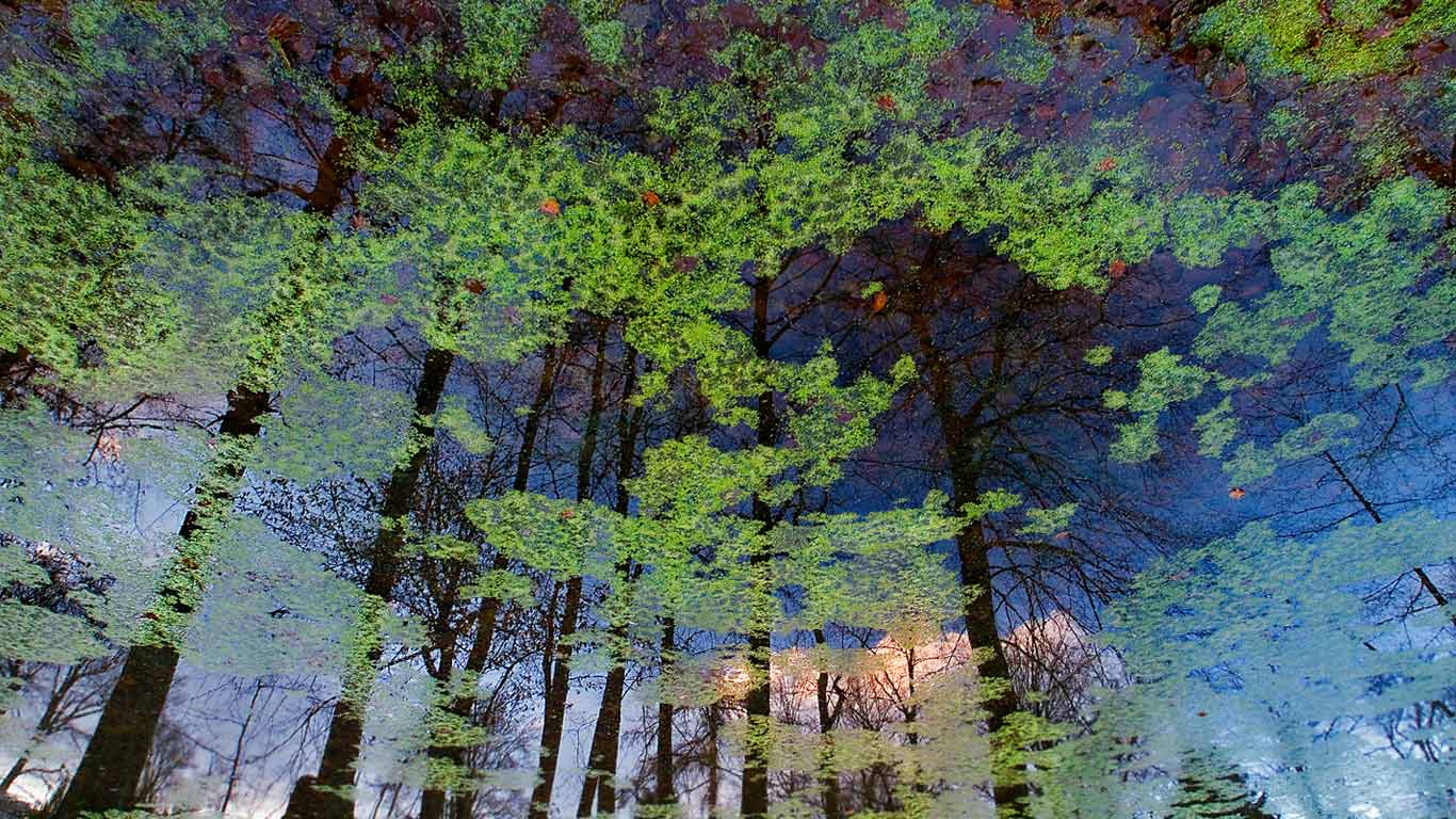 Reflection on the lake at Bergpark Wilhelmshöhe in Kassel, Germany (© Chinch Gryniewicz/plainpicture)(Bing United Kingdom)