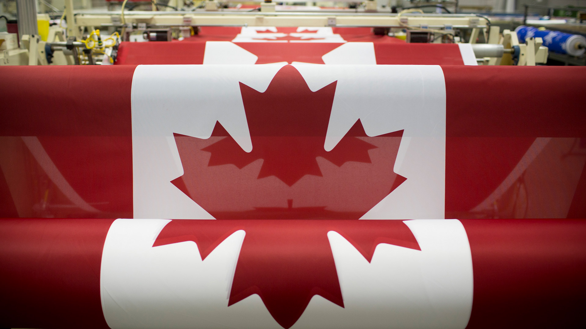 Canadian flags are printed at the Flags Unlimited facility in Barrie, Ont. (© Brent Lewin/Bloomberg via Getty Images)(Bing Canada)