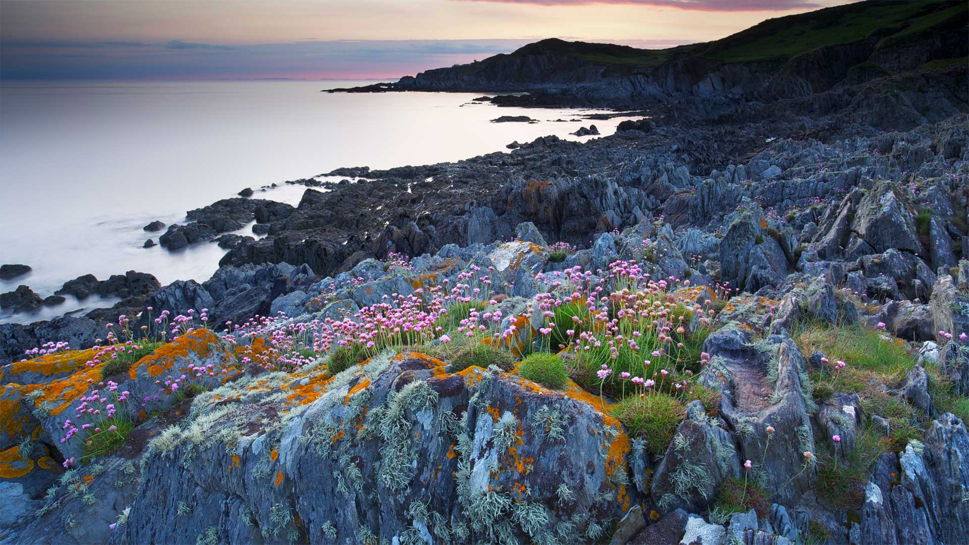 Bull Point in Devon (© Robert Harding World Imagery/Offset by Shutterstock)(Bing United Kingdom)
