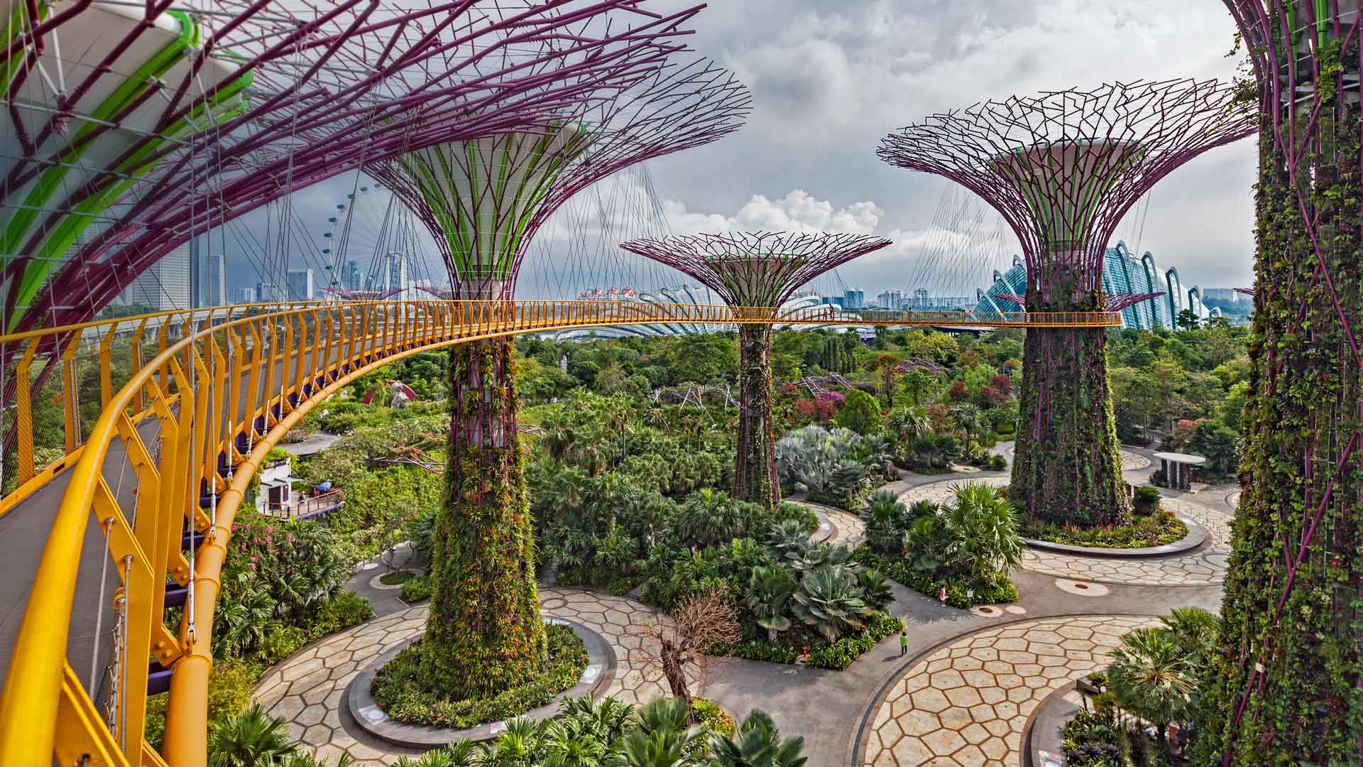 Supertrees im Parkgelände Gardens by the Bay, Singapur (© John Warburton-Lee/Danita Delimont)(Bing Deutschland)