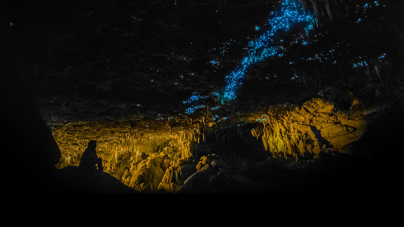 Waitomo Glowworm Caves, New Zealand (© Fabian Ebi/500px)(Bing United Kingdom)