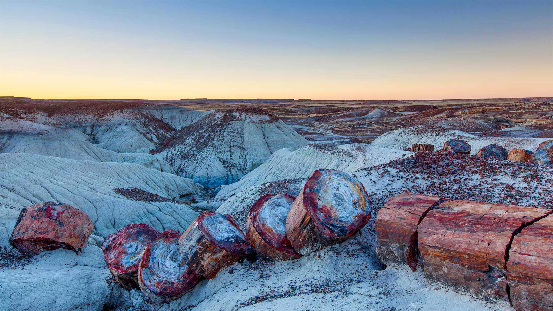 Petrified Forest National Park, Arizona (© Ian Shive/Tandem Stills + Motion)(Bing Canada)