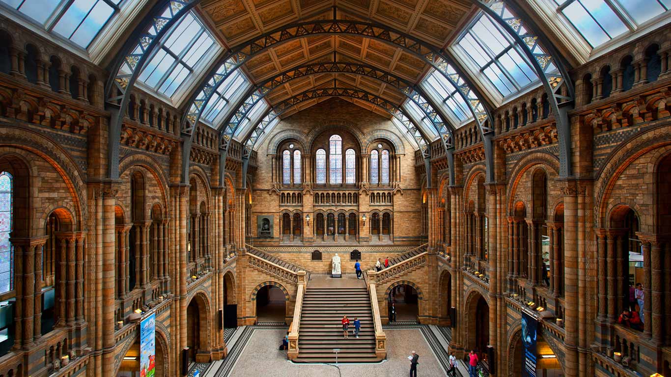 ｢ロンドン自然史博物館｣イギリス, ロンドン (© John Kellerman/Alamy)(Bing Japan)