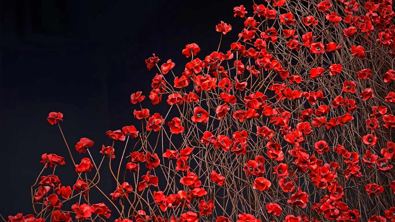 帝国战争博物馆北馆内的装置艺术‘Blood Swept Lands and Seas of Red’，英国曼彻斯特 (© Christopher Furlong/Getty Images)(Bing China)