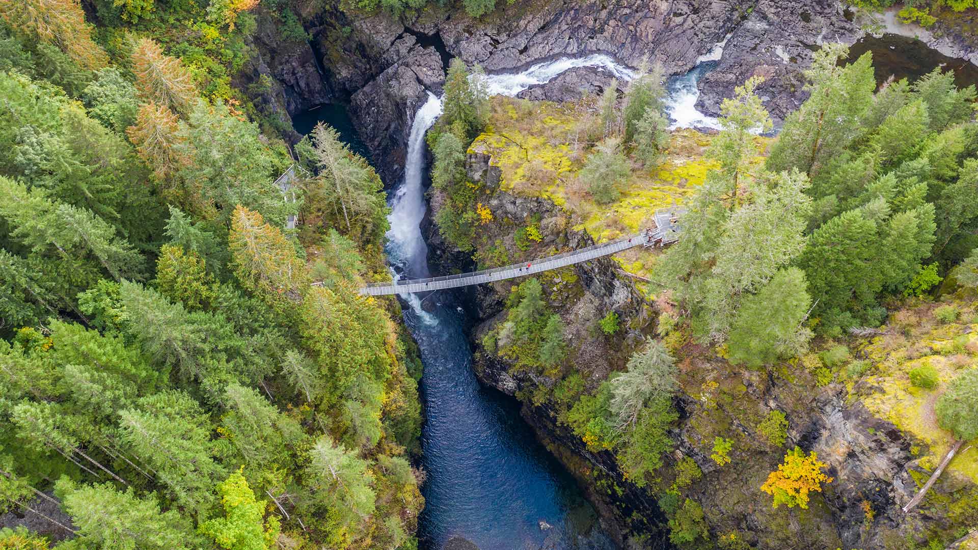 Aerial view of Elk Falls suspension bridge on Vancouver Island (© Ink Drop/Alamy Stock Photo)(Bing Canada)