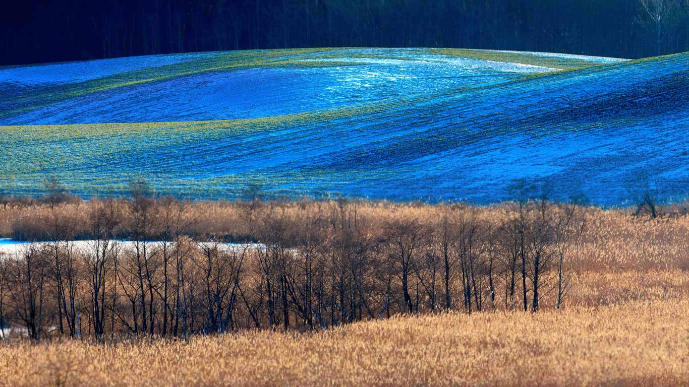 A rural portion of Gmina Barczewo, Olsztyn County, Poland (© jesiotr9/Getty Images)(Bing Canada)