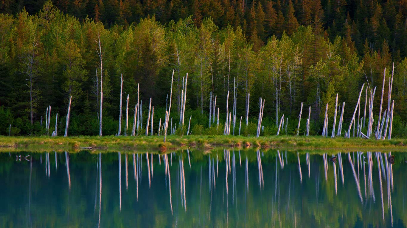 Portage Lake in Chugach National Forest, Alaska (© Ron Niebrugge/Alamy)(Bing Canada)