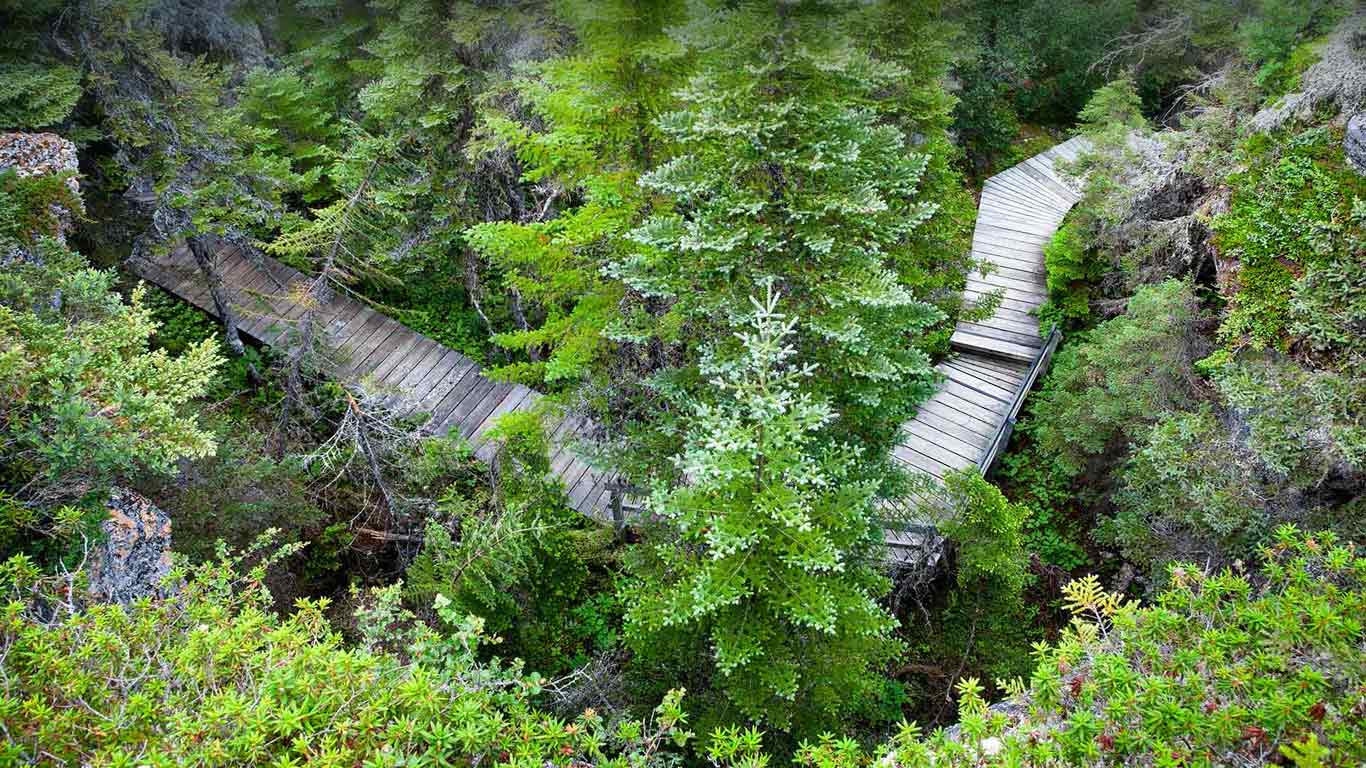 Mingan Archipelago National Park Reserve, Quebec (© plainpicture/Design Pics/Jean Desy)(Bing Canada)