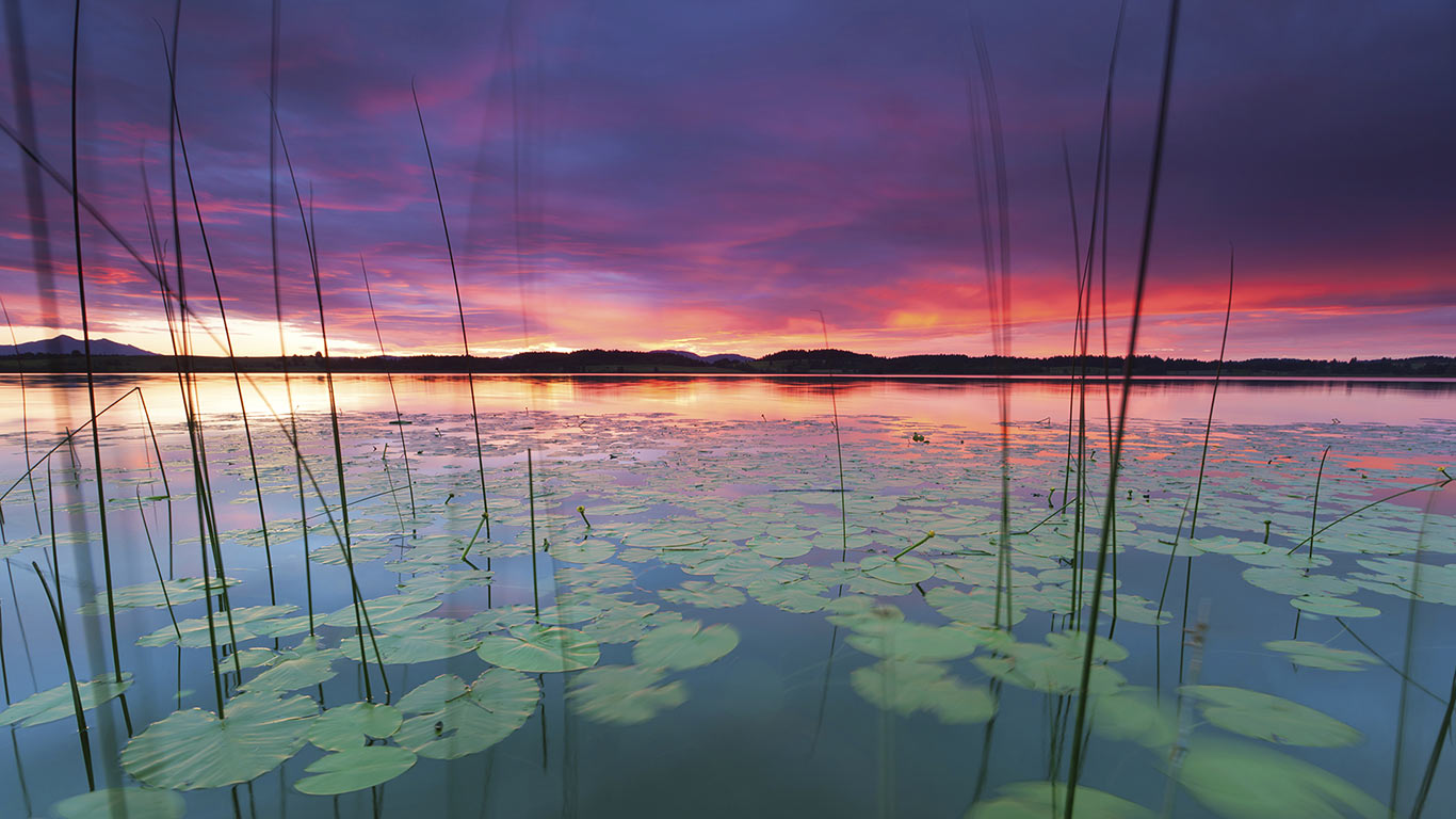 Sonnenuntergang am Bannwaldsee, Allgäu, Bayern, Deutschland (© Ingmar Weseman/E+/Getty Images)(Bing Deutschland)