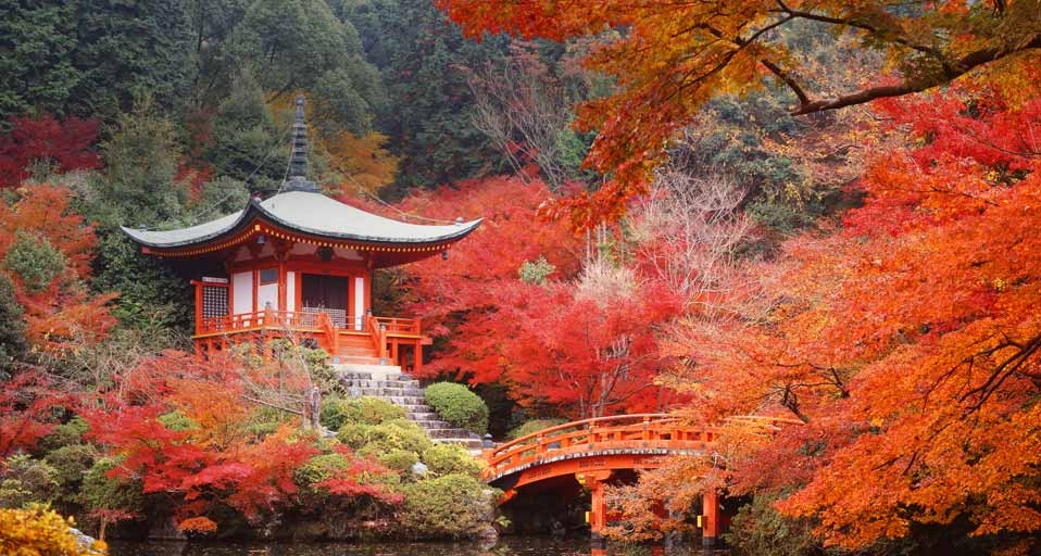 ｢醍醐寺の弁天堂｣京都, 伏見区 -- Yamanashi ShashinJimusho/AfloFotoAgency &copy; (Bing Japan)