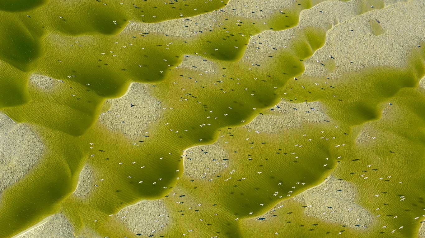 Somme River estuary, France (© Philippe Frutier/plainpicture)(Bing United Kingdom)