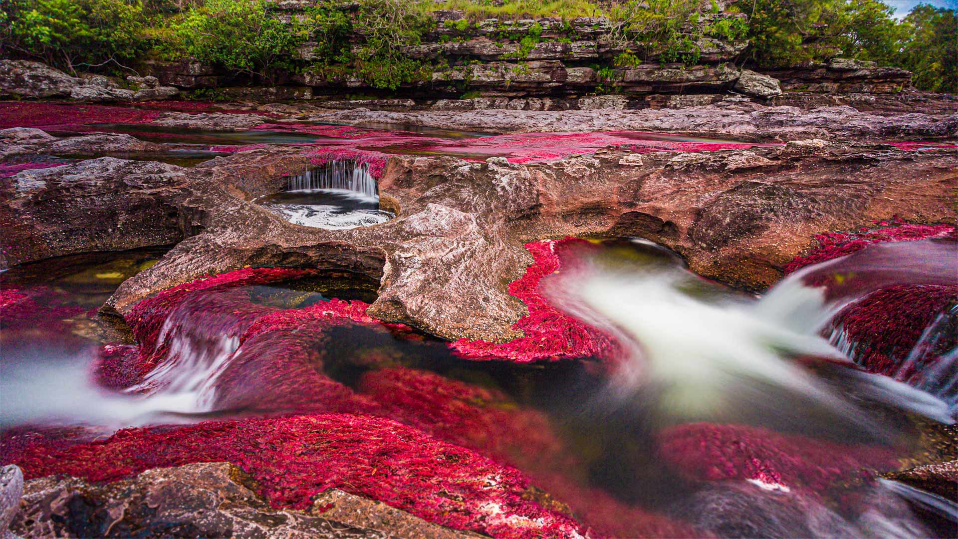 The Caño Cristales river in the Serranía de la Macarena mountains of Colombia (© Jorge Iván Vásquez Cuartas/Getty Images)(Bing United Kingdom)
