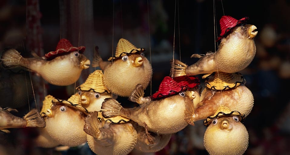 香港大屿山大澳村的纪念品 (© Steve Vidler/eStock Photo) &copy; (Bing China)