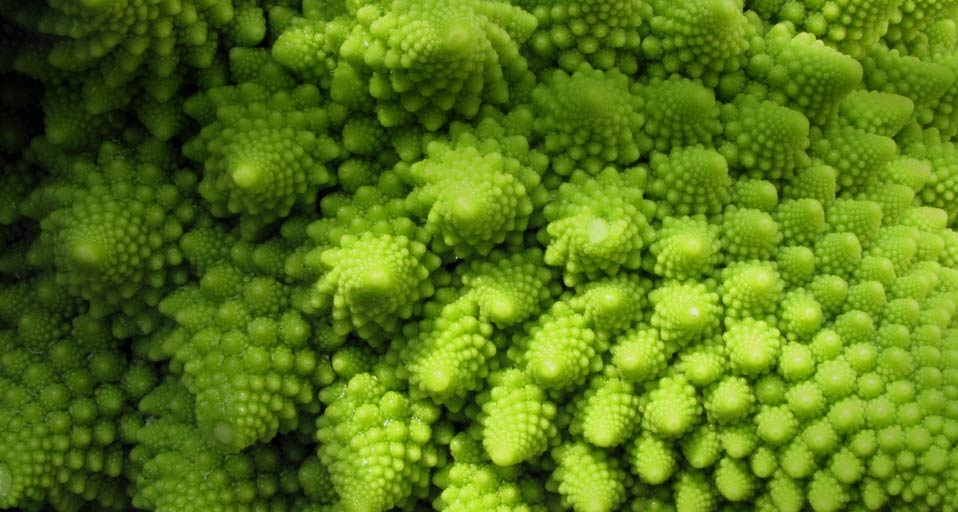 Romanesco broccoli (© Martha Lazar/Getty) &copy; (Bing United Kingdom)