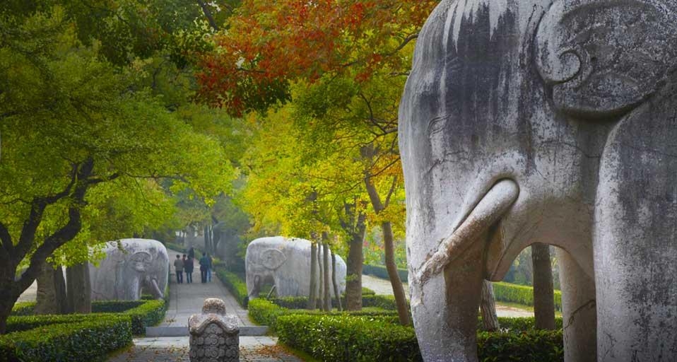 Stone Statue Road elephants at Ming Xiaoling Mausoleum, Zijin Shan, Nanjing, Jiangsu, China (© Ian Trower/Corbis) &copy; (Bing United Kingdom)