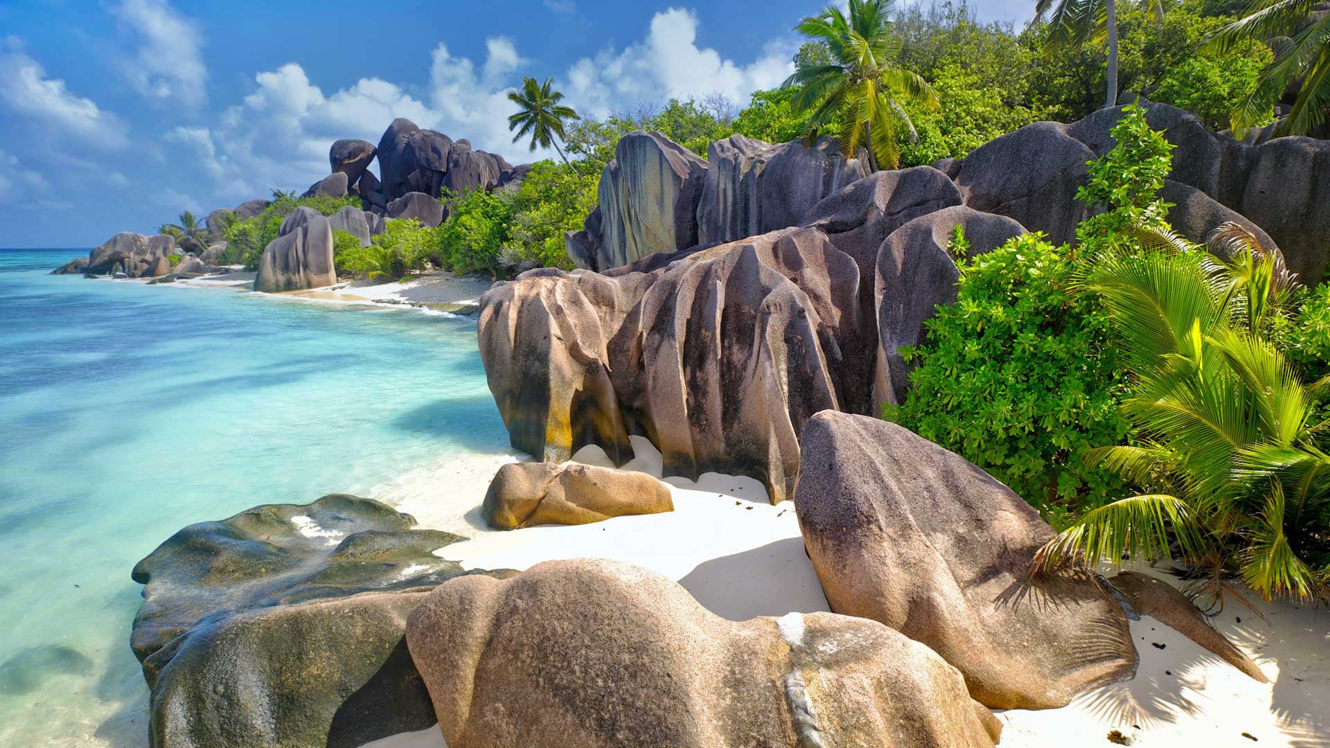 ｢ラ・ディーグ島｣セーシェル (© Oleksandr Dibrova/Adobe Stock)(Bing Japan)