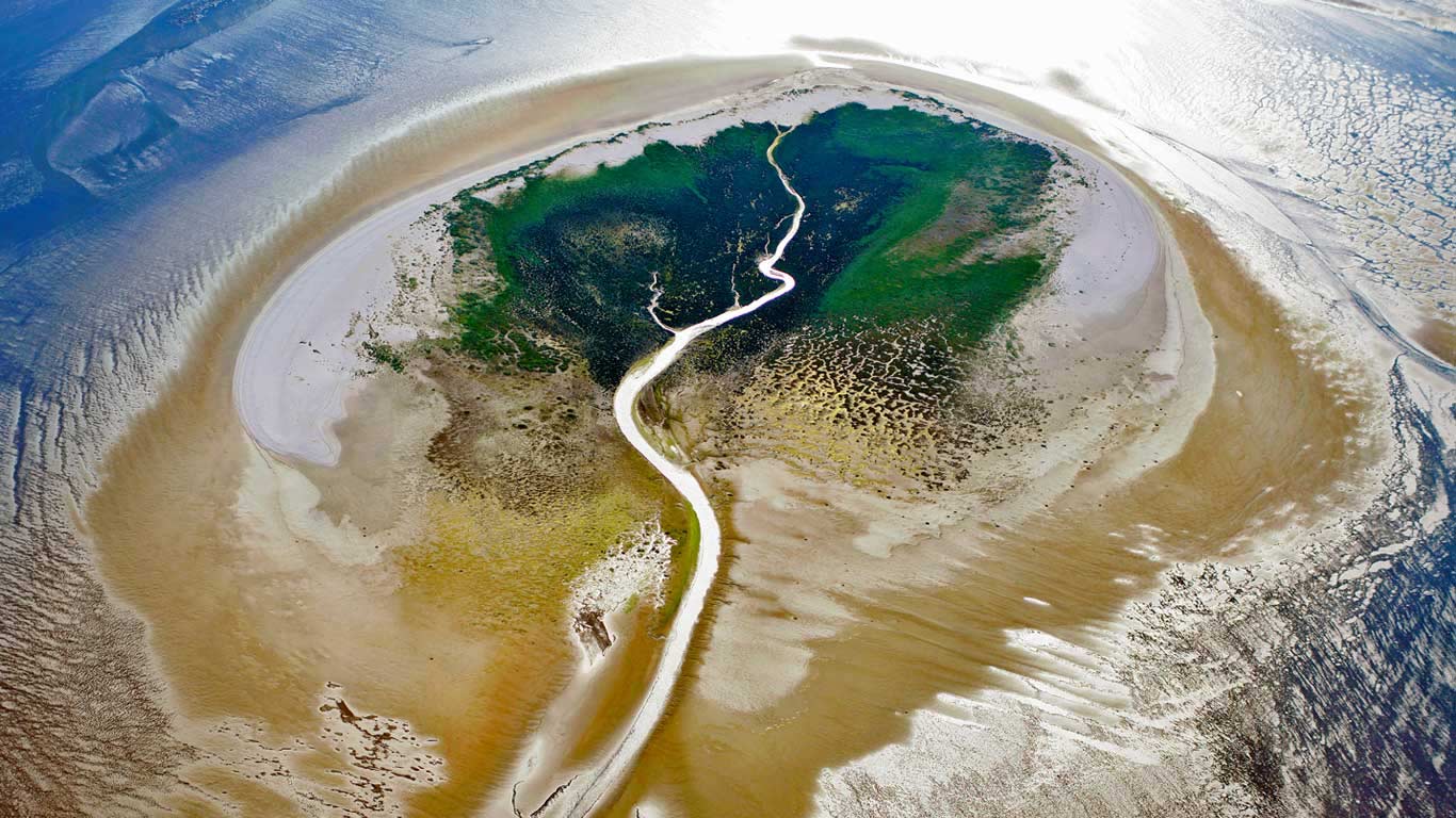 Zuiderduintjes in the West Frisian Islands, Netherlands (© Pete Leonard/Getty Images)(Bing United Kingdom)
