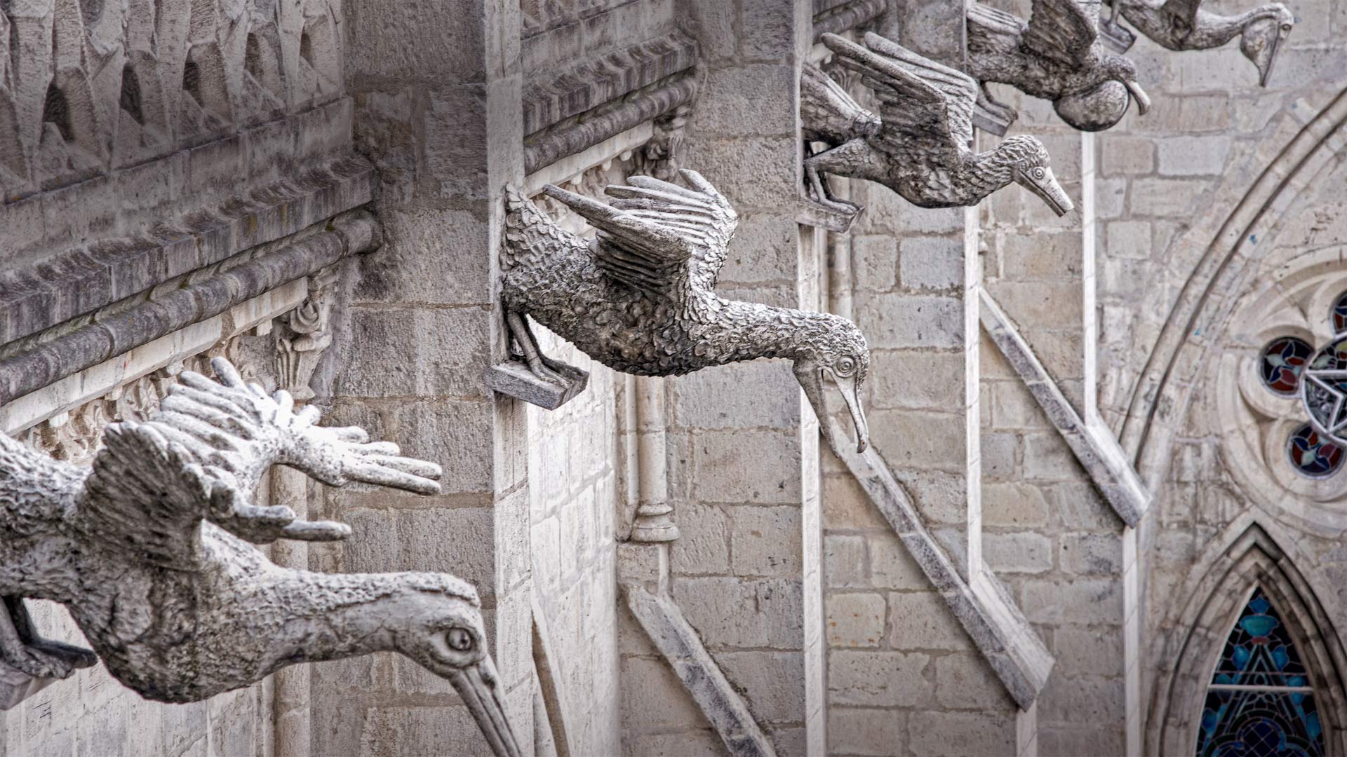 Grotesques of native Ecuadorian seabirds on the Basílica del Voto Nacional in Quito, Ecuador (© Henri Leduc/Getty Images)(Bing United Kingdom)