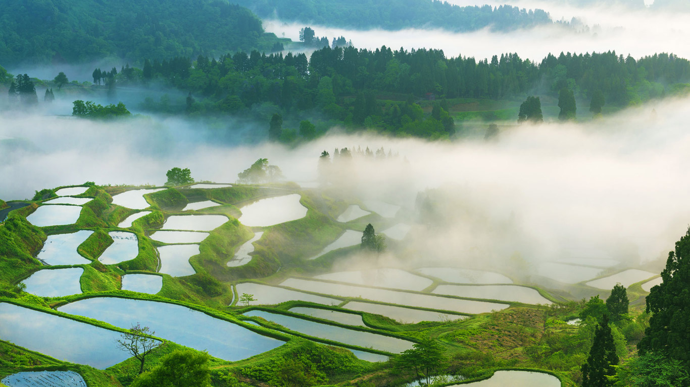 ｢星峠の棚田｣新潟県十日町市 (© Yoshitsugu Nishigaki/Sebun Photo　)(Bing Japan)