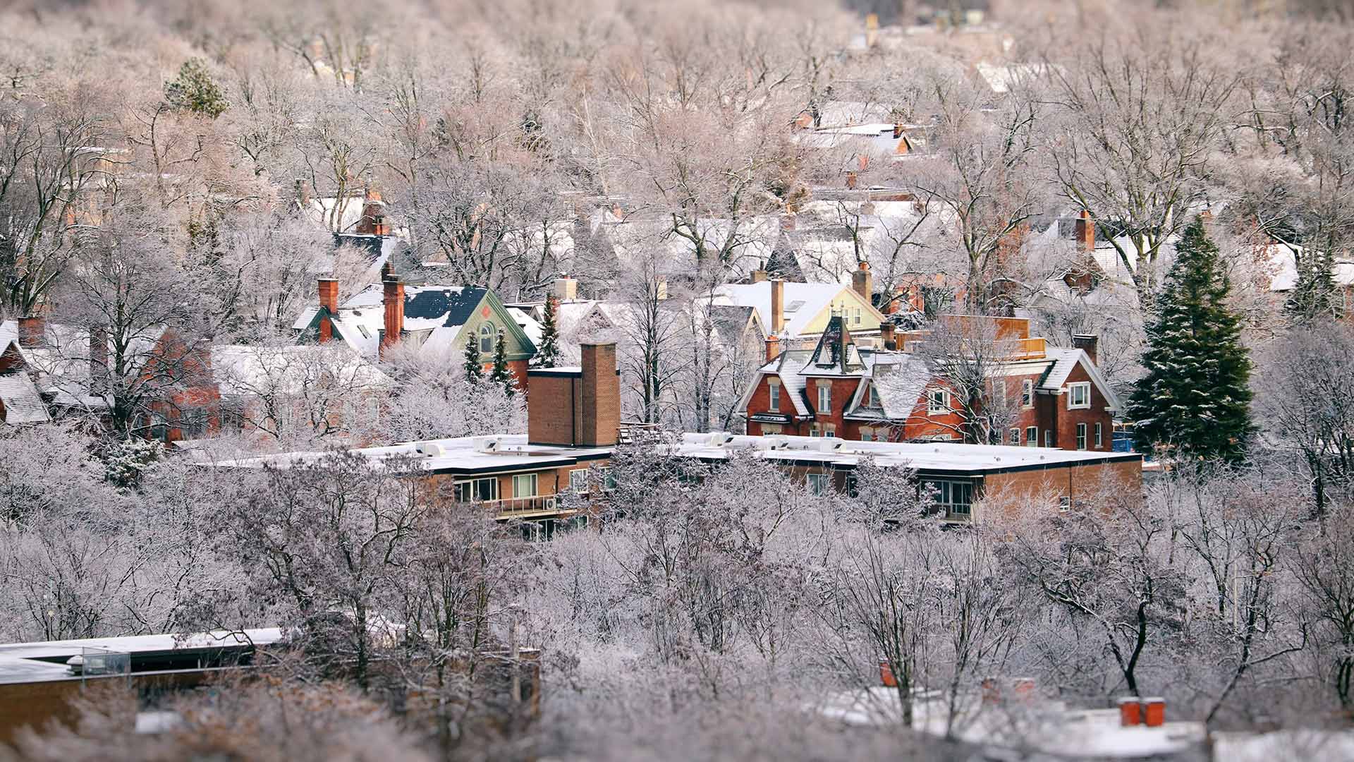 Areal view of Toronto cityscapes on a winter morning (© Katrin Ray Shumakov/Getty Images)(Bing Canada)