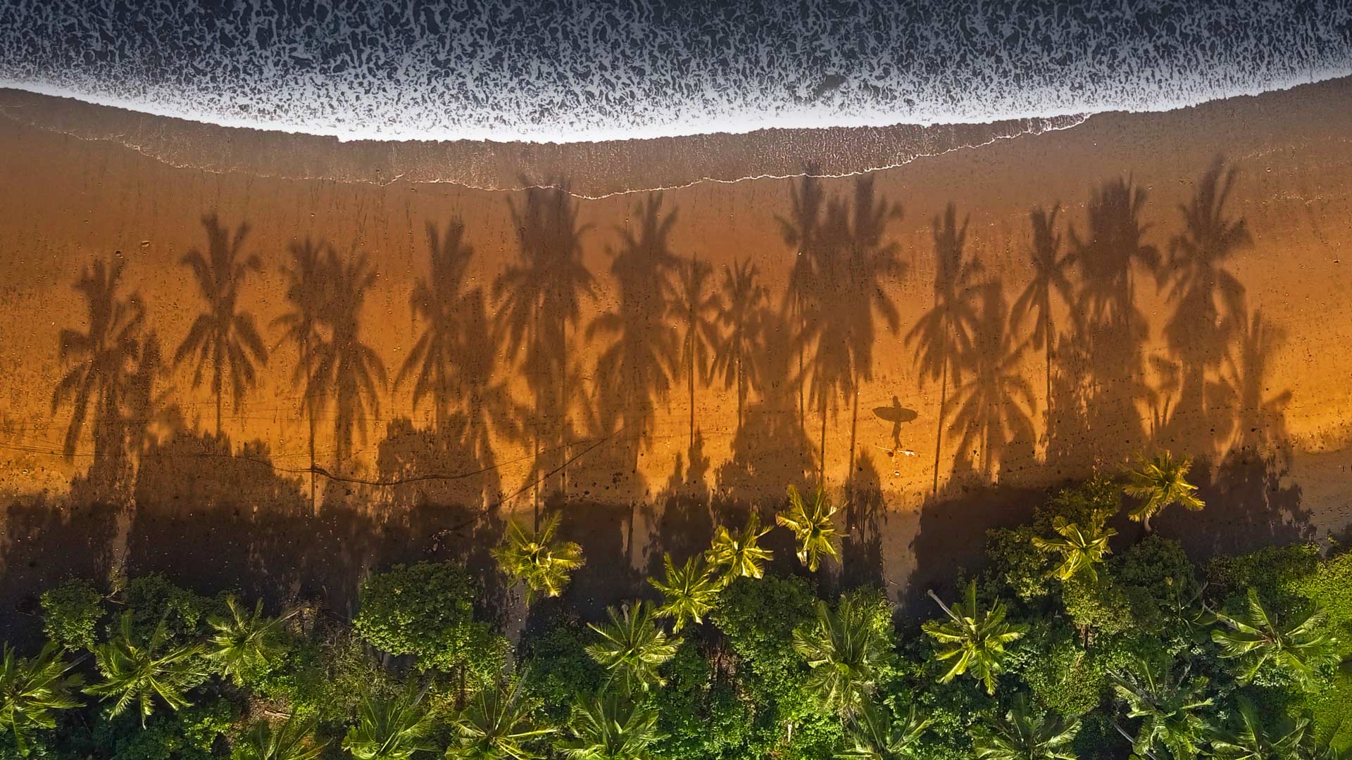 Surfer walking between palm trees in Medewi, Bali, Indonesia (© helivideo/GettyImages)(Bing United Kingdom)