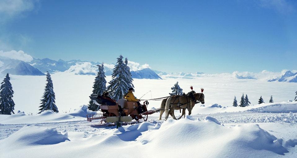 Horse sleigh, Switzerland (© Sonderegger Christof/Alamy) &copy; (Bing United Kingdom)