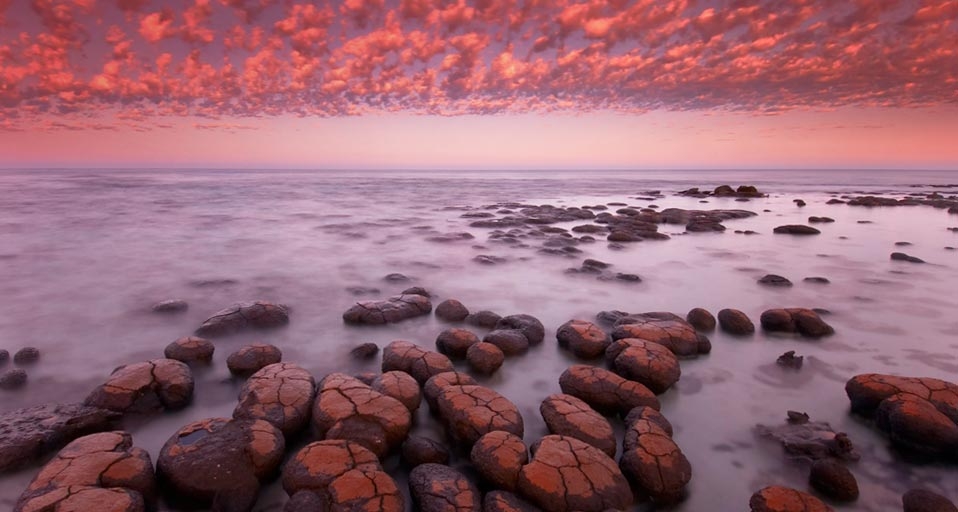 Stromatolites at dawn in Shark Bay, Western Australia (© Frans Lanting/Corbis) &copy; (Bing Canada)