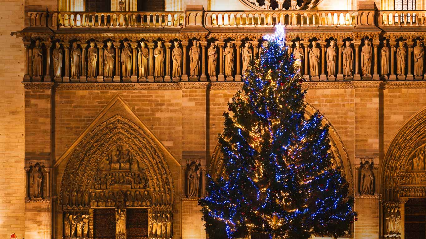 Cathédrale Notre-Dame de Paris et sapin de Noël, Paris (© imageBROKER/REX Shutterstock)(Bing France)