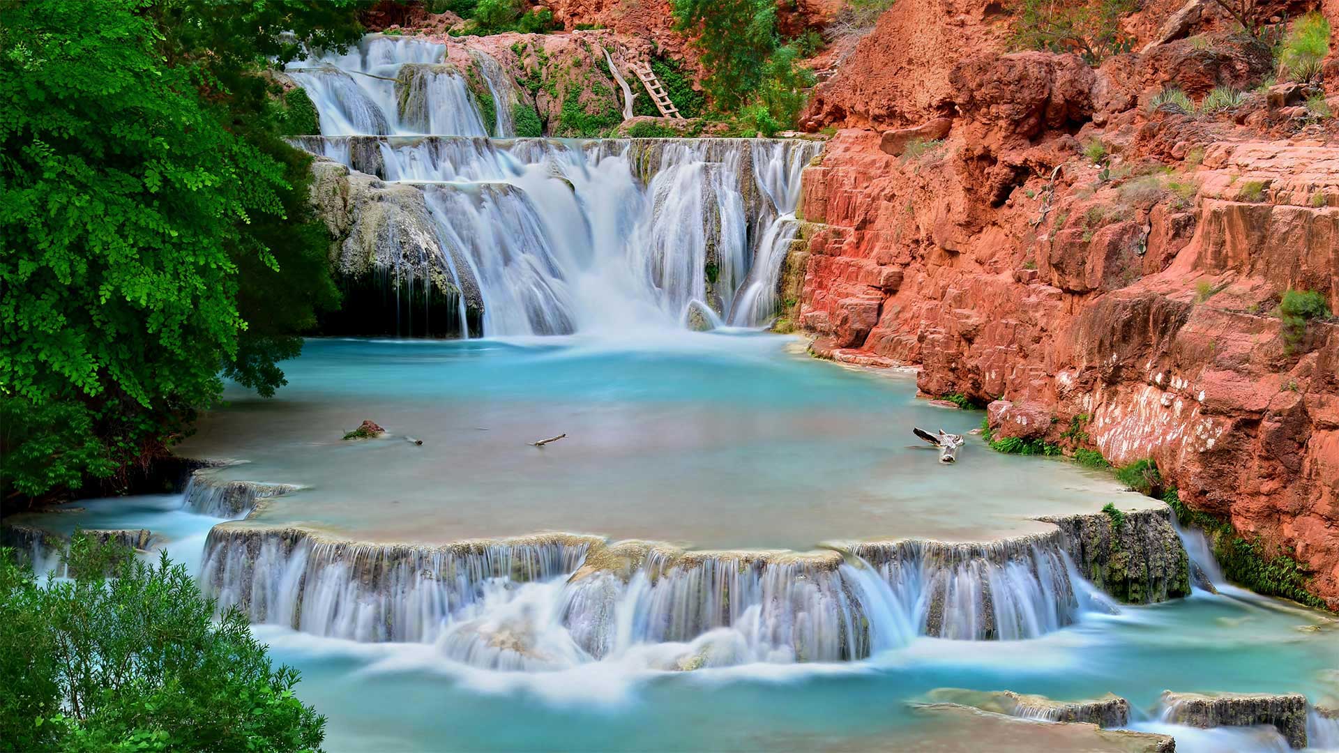 Beaver Falls on Havasu Creek in the Grand Canyon, Arizona, USA (© Edwin Verin/Alamy)(Bing United Kingdom)