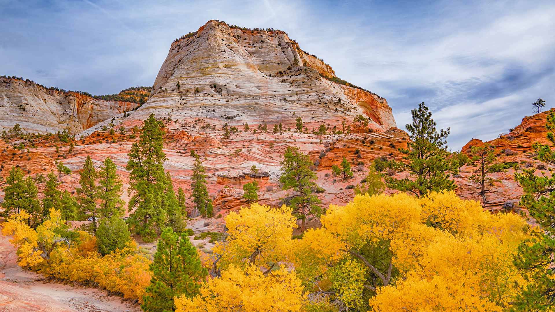 Zion National Park, Utah, USA (© pabradyphoto/Getty Images)(Bing United Kingdom)