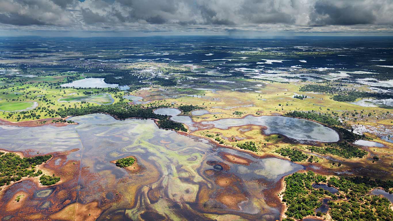 Flood plains in the Pantanal, Brazil (© Luciano Candisani/Minden Pictures)(Bing United Kingdom)