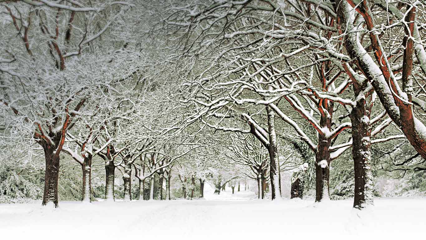 Southampton Common, Southampton, England (© David Baker/Gallery Stock)(Bing Canada)