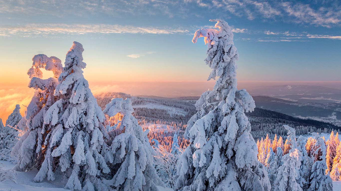 Wintermorgen am Großen Arber, Bayern, Deutschland (© Reinhard Schmid/eStockphoto)(Bing Deutschland)