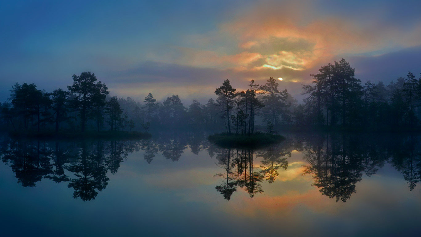 A wetland in Västmanland, Sweden (© Hans Strand/Getty Images)(Bing United Kingdom)