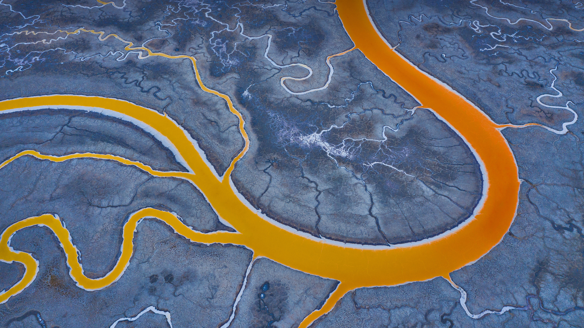 Salt flats in San Francisco Bay (© Jeffrey Lewis/Tandem Stills + Motion)(Bing Canada)