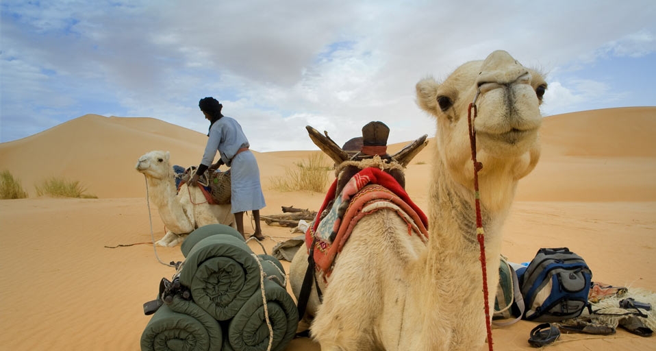 Camel trek in the Adrar mountains of the Sahara desert in Mauritania-- SUETONE Emilio/Photolibrary &copy; (Bing United Kingdom)