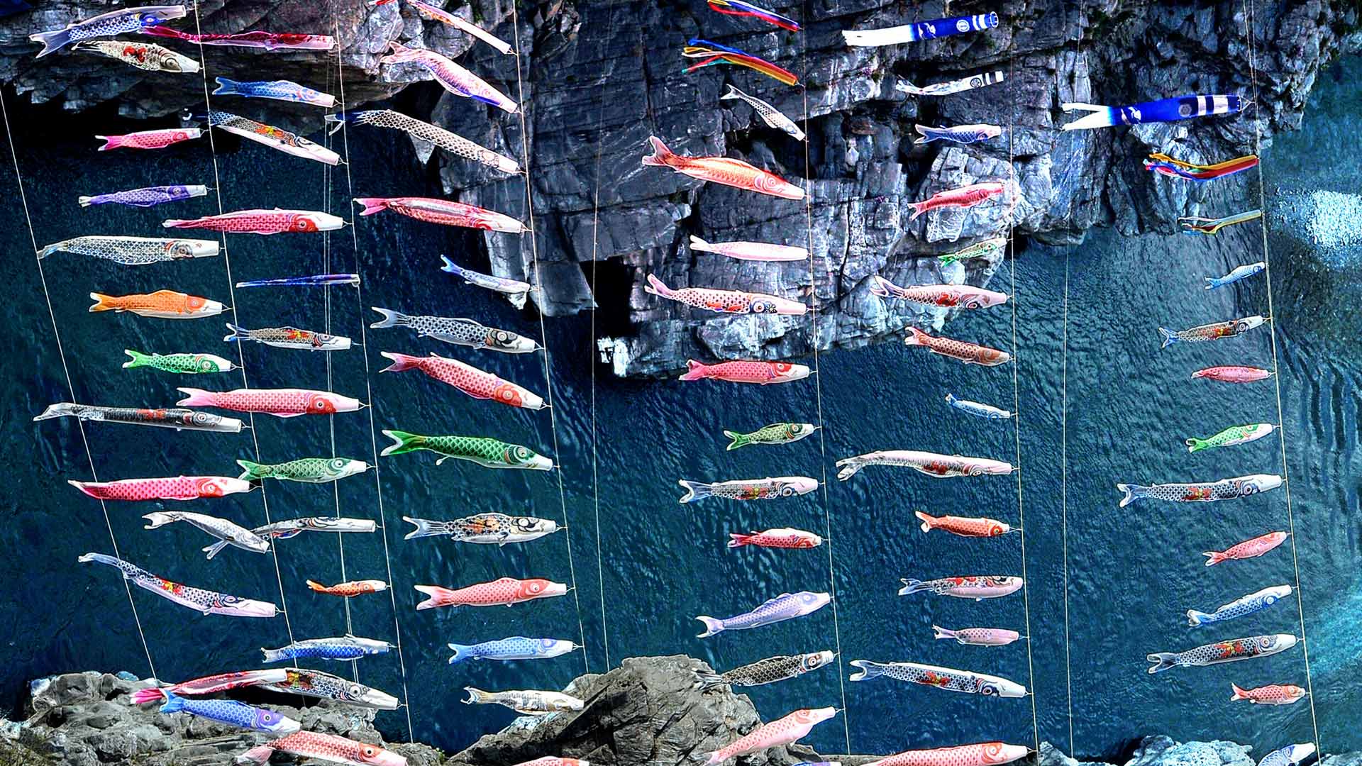｢大歩危峡のこいのぼり｣徳島県, 三好市 (© Photo by The Asahi Shimbun via Getty Images)(Bing Japan)