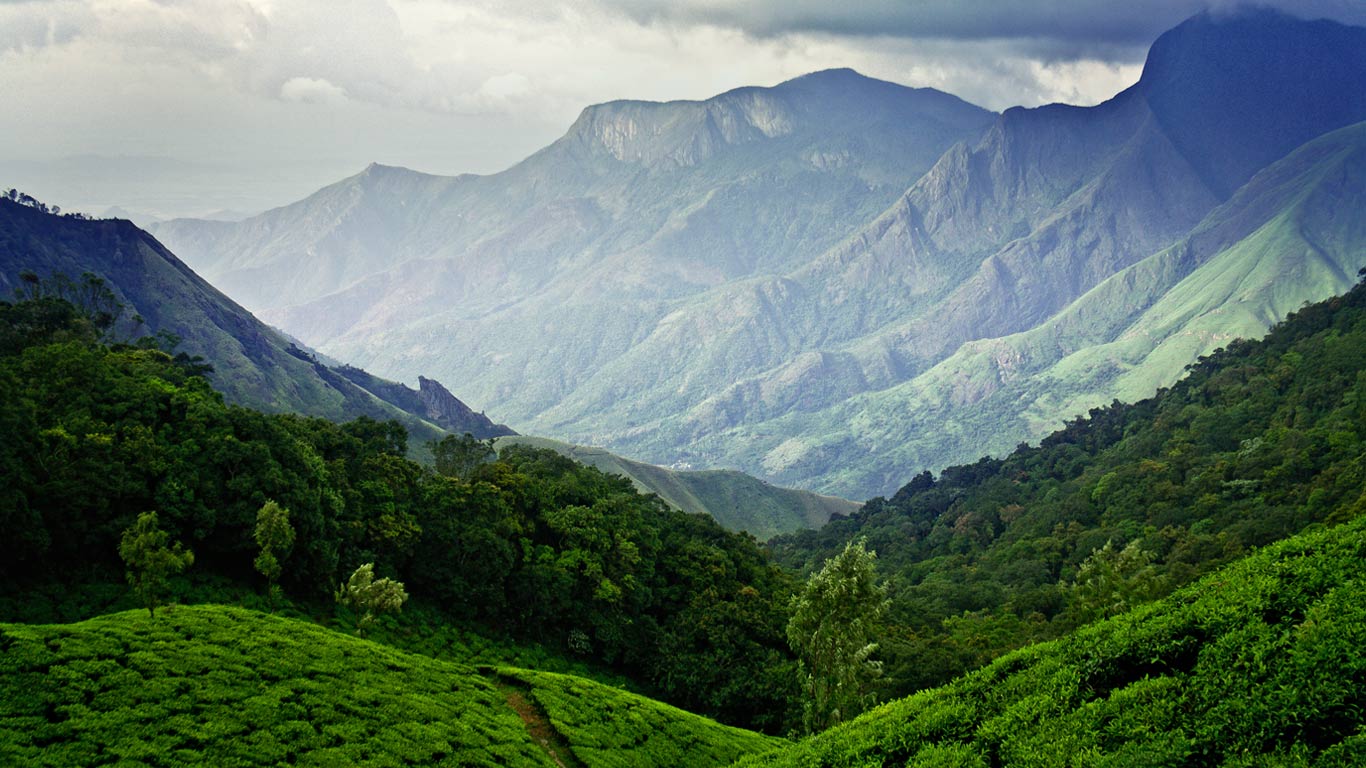Tea fields in Munnar, Kerala, India (© Vidhu S/500px)(Bing United Kingdom)