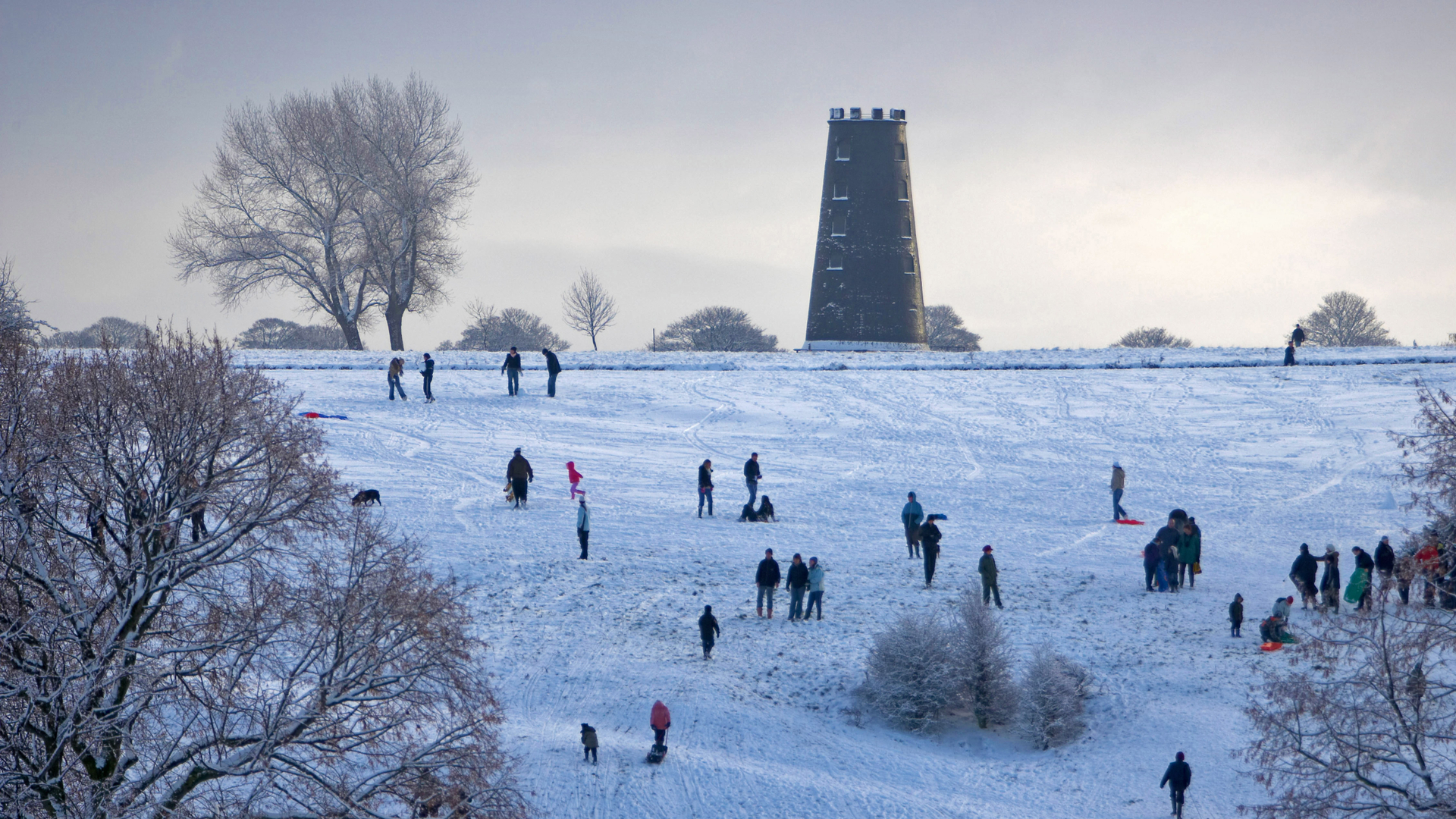 Beverley Westwood Common, East Yorkshire (© Les Gibbon/Alamy)(Bing United Kingdom)
