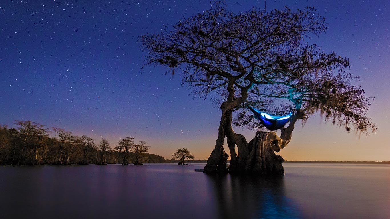 Hammock camping in an old growth cypress tree (© Mac Stone/Tandem Stills + Motion)(Bing United Kingdom)